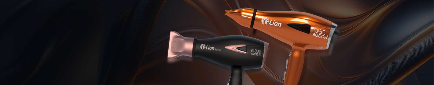 Secador de Cabelo Profissional